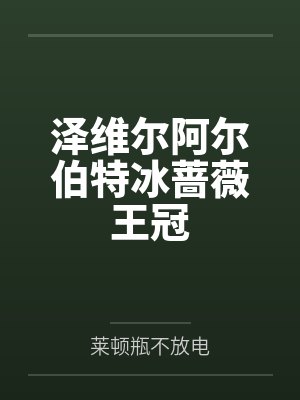 泽维尔阿尔伯特冰蔷薇王冠